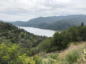Lake and mountain view near Istán – Finca Vista Lago