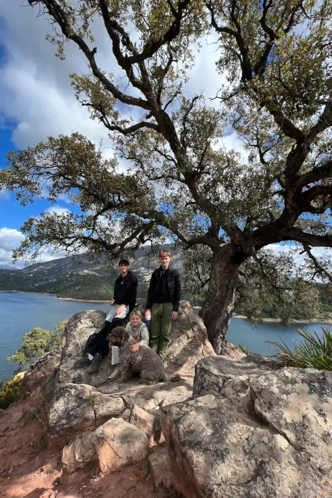 View of Istán lake (Embalse de la Concepción) near Marbella with tree and mountains