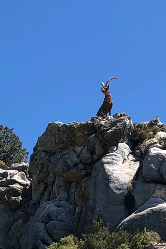 Statue of a mountain goat at Refugio de Juanar near Istán in the mountains above Marbella