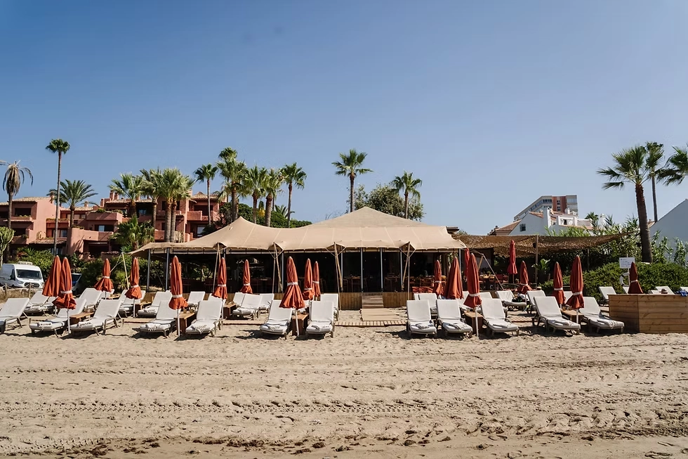 Oyana Beach Marbella beach club with sunbeds umbrellas and beachfront restaurant