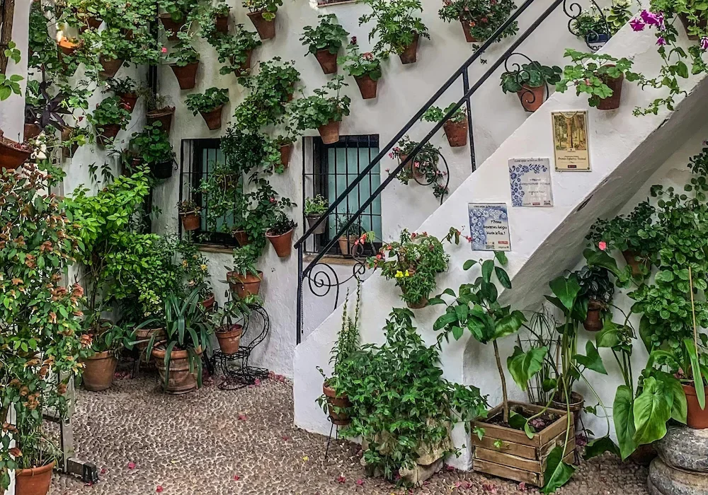 Traditional Córdoba patio with white walls and flower pots